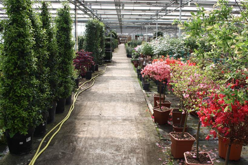Four Oaks Cash and Carry
